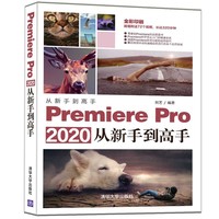 Premiere Pro 2020从新手到高手