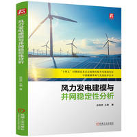 风力发电建模与并网稳定性分析 赵浩然 王鹏