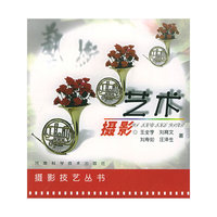 艺术摄影——摄影技艺丛书