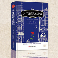 少年维特之烦恼精装版全译本无删减名家名译世界经典文学名著中小学课外阅读书
