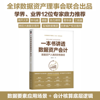 一本书讲透数据资产会计：数据资产入表的财务路径 戚笑天