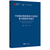 中国城市数据要素开发利用能力指数研究报告