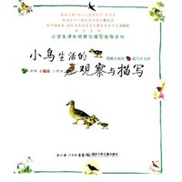 小鸟生活的观察与描写(小学生课外观察与描写指导读物)