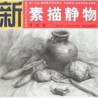 新世纪美术专业教材·升级版-素描静物