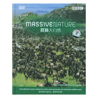 BBC MASSIVE NATURE 群体大自然(DVD)