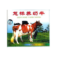 怎样养奶牛VCD