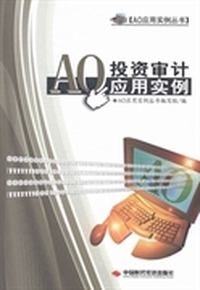 AO投资审计应用实例