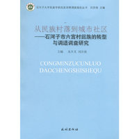 从民族村落到城市社区：石河子市六宫村回族的转型与调适调查研究