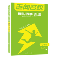 走向名校 课时同步训练 九年级化学 下册 RJ 人教版 2022版