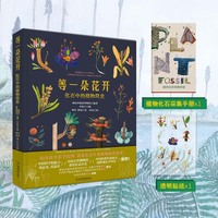 等一朵花开：化石中的植物简史