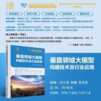 垂直领域大模型构建技术及行业应用（国家级实验教学示范中心联席会计算机学科组规划教材）