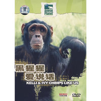 黑猩猩爱说话(1DVD)