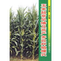 玉料超常早播及高产多收种植模式