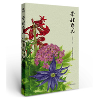 崇礼野花