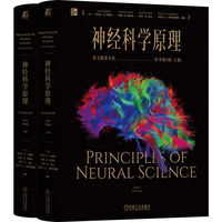 神经科学原理（英文精装全彩·原书第6版）      [美]埃里克·R.坎德尔    [美]约翰·D.凯斯特  等