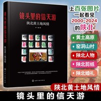 镜头里的信天游——陕北黄土地风情