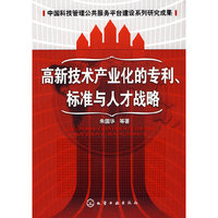 高新技术产业的专利、标准与人才战略
