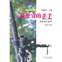 最便宜的杀手：轻武器与战争