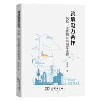 跨境电力合作：风险、主体损益与制度选择