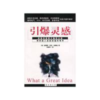 引爆灵感（特价书）