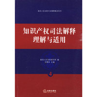 知识产权司法解释理解与适用