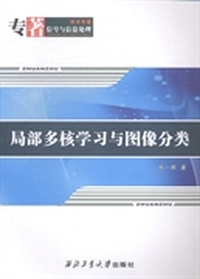 局部多核学习与图像分类