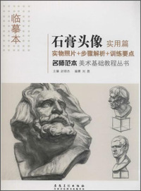 临摹本 石膏头像 实用篇