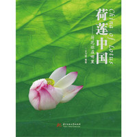荷莲中国:荷花你在哪里