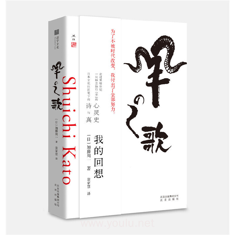 羊之歌——我的回想