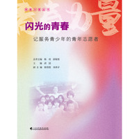 闪光的青春——记服务青少年的青年志愿者（青春力量丛书）