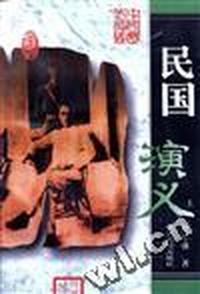 民国演义(上下)-中国历代演义