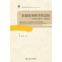 在制度和秩序的边际——刑事政策的一般理论