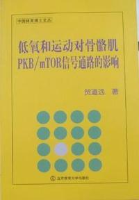 低氧和运动对骨骼肌PKB