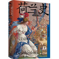荷兰史 低地之国，海上传奇，一部“荷兰奇迹”的深度解码史
