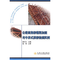 公路高架桥箱梁加固与中承式拱桥检测实例