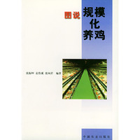 图说规模化养鸡