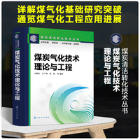 煤炭气化技术：理论与工程