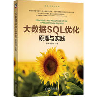 大数据SQL优化：原理与实践 陈鹤 杨国栋