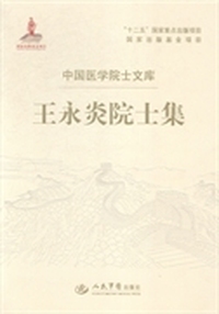 王永炎院士集