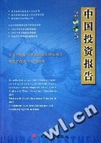 2005中国投资报告