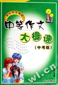 中等作文大提速(中考版)/文心作文考王