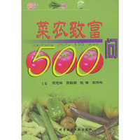 菜农致富500问