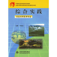 综合实践