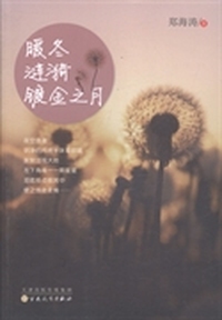 暖冬 涟漪 镀金之月