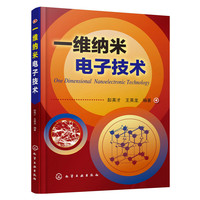一维纳米电子技术