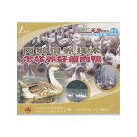 肉鹅饲养技术 怎样养好瘦肉鸭(VCD)