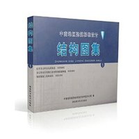 中南标:结构图集1