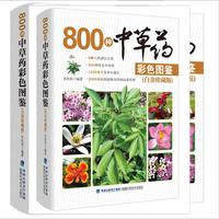 800种中草药彩色图鉴(白金珍藏版)