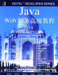Java Web服务高级教程