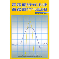 声表面波式小波变换器件与应用